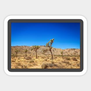 Joshua Tree National Park, California Sticker